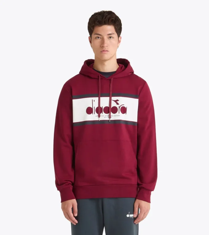 Hanorac cu logo Hanorac cu blocuri de culoare Hanorac cu logo Hanorac cu blocuri de culoare