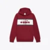 Hanorac cu logo Hanorac cu blocuri de culoare Hanorac cu logo Hanorac cu blocuri de culoare