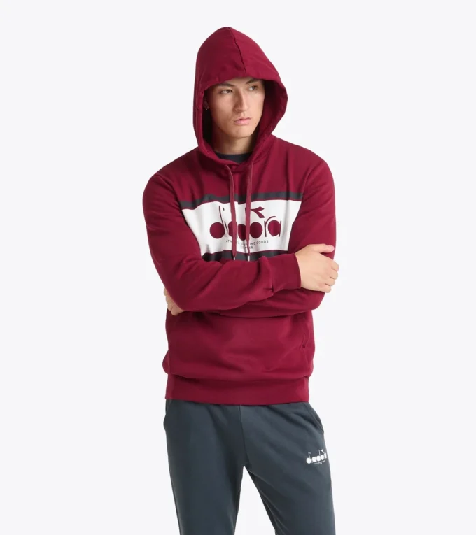 Hanorac cu logo Hanorac cu blocuri de culoare Hanorac cu logo Hanorac cu blocuri de culoare