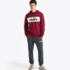 Hanorac cu logo Hanorac cu blocuri de culoare Hanorac cu logo Hanorac cu blocuri de culoare