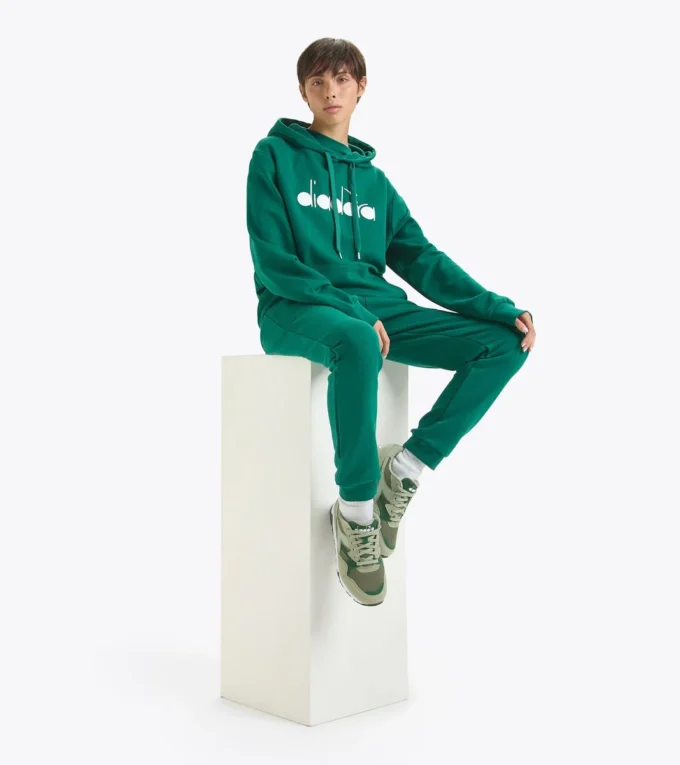 Hoodie Logo Hanorac sportiv – Fabricat în Italia – Unisex Hoodie Logo Hanorac sportiv – Fabricat în Italia – Unisex