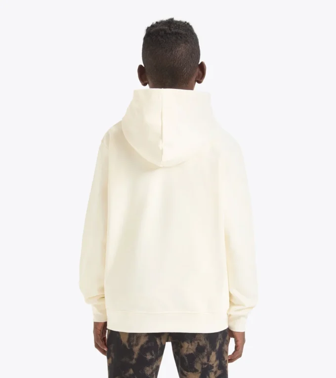 Jb. Hoodie Fregio Hoodie cu detalii decolorate – Băieți